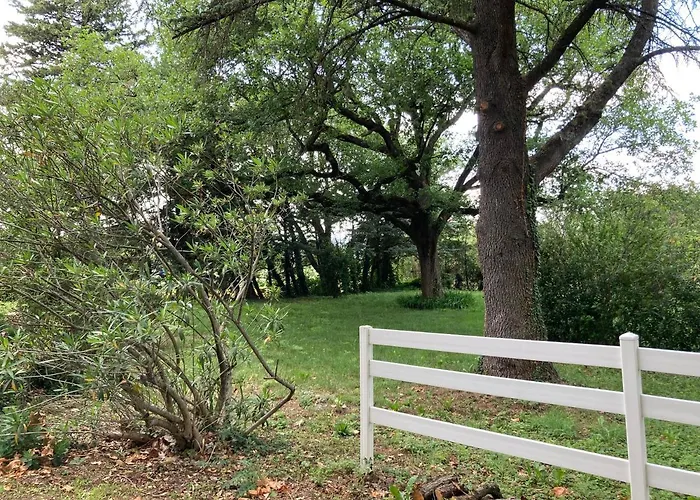Pavillon De L'etang *